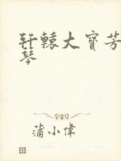 轩辕大宝芳菲雅琴封面