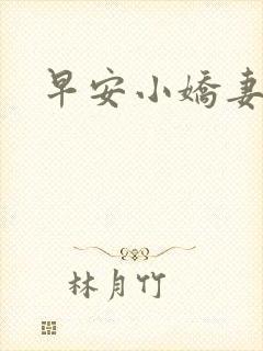 早安小娇妻