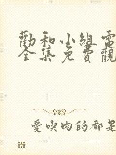 劝和小组电视剧全集免费观看