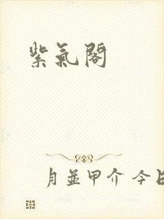紫气阁封面