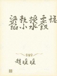 梁教授要稳住肉馅小水饺封面