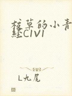 校草的小青梅不经C1V1