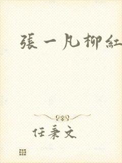 张一凡柳红封面