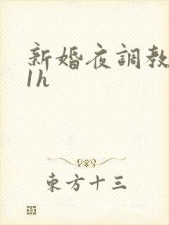 新婚夜调教1v1h封面