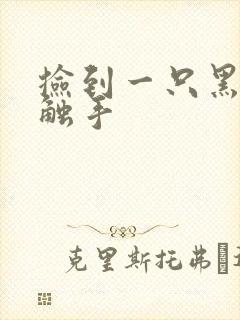 捡到一只黑心小触手