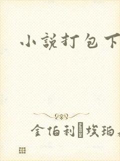 小说打包下载