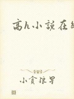 高h小说在线看封面