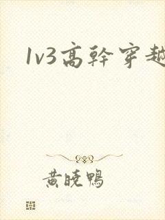 1v3高干穿越封面