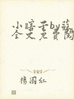 小瞎子by苏软全文免费阅读