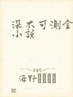 深不可测金银花小说