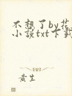 不想了by花卷小说txt下载