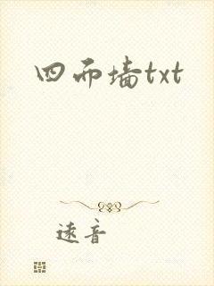 四面墙txt
