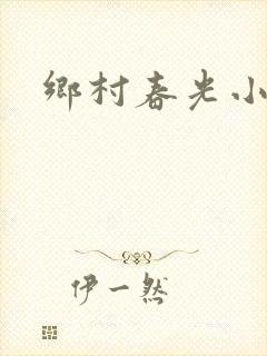 乡村春光小说