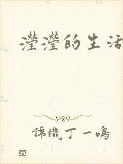 滢滢的生活日记封面