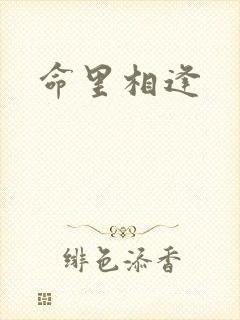 命里相逢