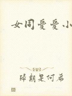 女同爱爱小说封面