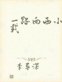 一路向西小说下载封面