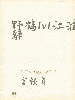 野鹤1v1江淮辞封面