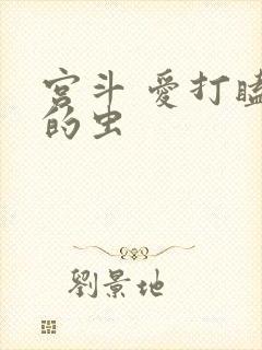 宫斗 爱打瞌睡的虫