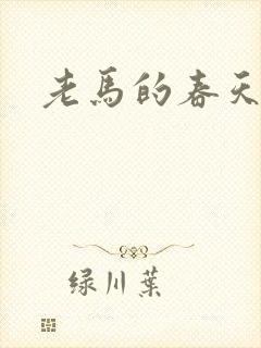 老马的春天敏静