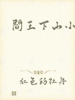 阎王下山小说封面