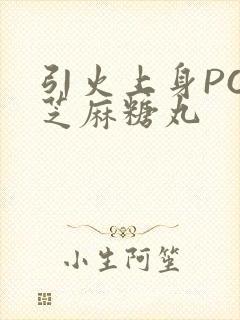 引火上身POP芝麻糖丸