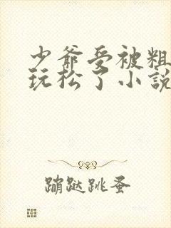 少爷受被粗汉H玩松了小说