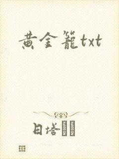 黄金笼txt