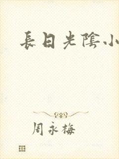 长日光阴小说