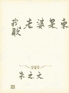 我老婆是东方不败