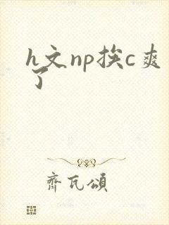 h文np挨c爽了