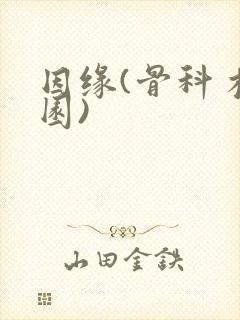 因缘(骨科 校园)