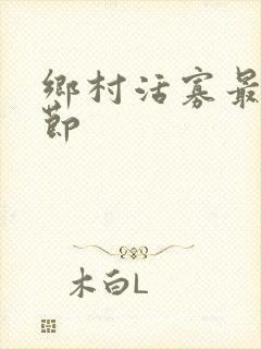 乡村活寡最新章节