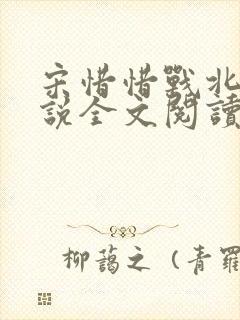 宋惜惜战北望小说全文阅读封面