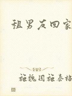 租男友回家过年