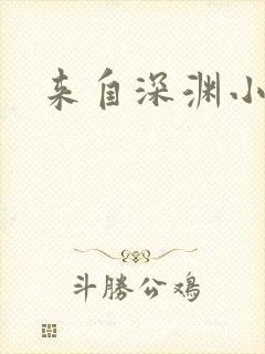 来自深渊小说