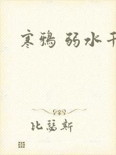 寒鸦 弱水千流