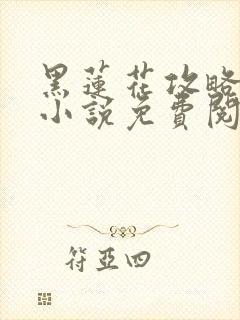 黑莲花攻略手册小说免费阅读