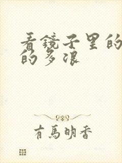 看镜子里的你叫的多浪