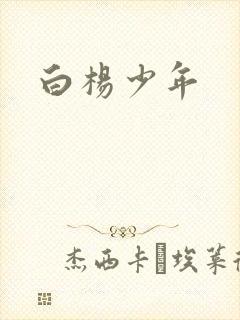 白杨少年
