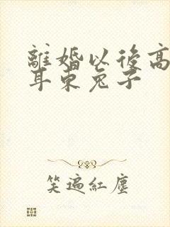 离婚以后高干 耳东兔子封面