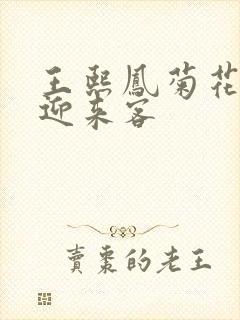 王熙凤菊花门初迎来客封面