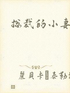 总裁的小妻子封面