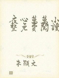 夜心万万小说完整免费阅读全文