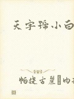 天字号小白脸