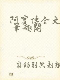 阿宾传全文阅读 笔趣阁封面
