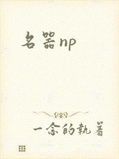 名器np封面