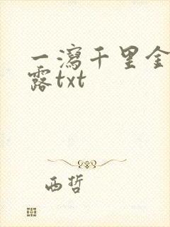 一泻千里金银花露txt