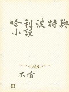 哈利波特与密室小说