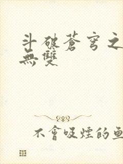 斗破苍穹之淫帝无双封面